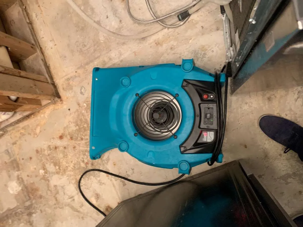 Air mover drying equipment for Mold Remediation & Removal in Rio Vista